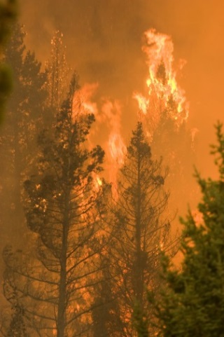 Castle Rock Fire